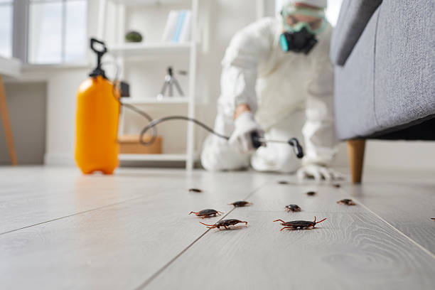 Commercial Rodent Management in Dunellen
